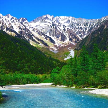 2025年シーズンは終了いたしました。